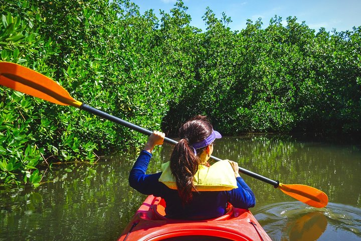 Fort Lauderdale’s Tropical Kayak Tour and Island Adventure - Photo 1 of 6